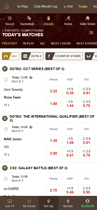 Ace Your Game: A Beginner's Guide to Singbet Tennis Betting