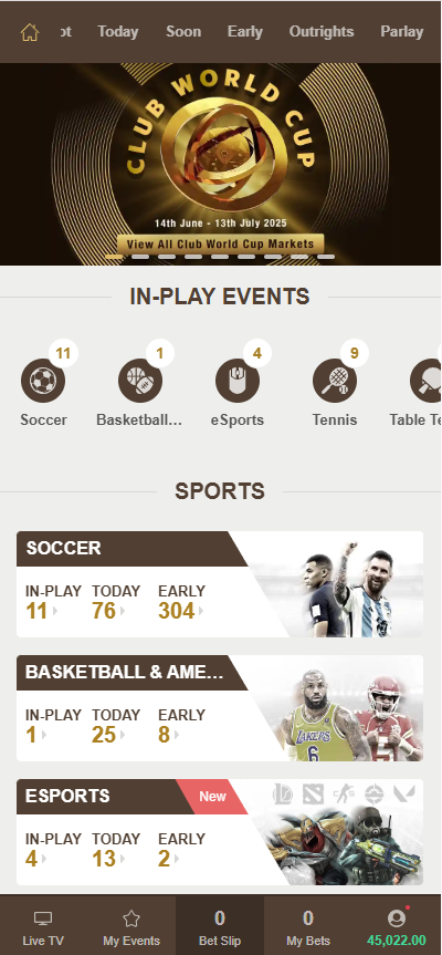 Cracking the Code: A Beginner's Guide to Soccer Betting in Asian Markets
